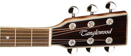 Tanglewood Tw28 Csn Evolution Dreadnought Cedre Acajou - Natural - Westerngitarre & electro - Variation 3