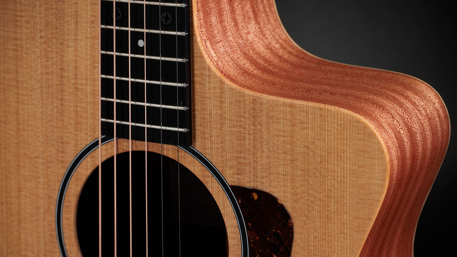 Taylor 14ce Grand Auditorium Cw Epicea Sapele Eb - Natural Matte - Folk-Gitarre - Variation 2