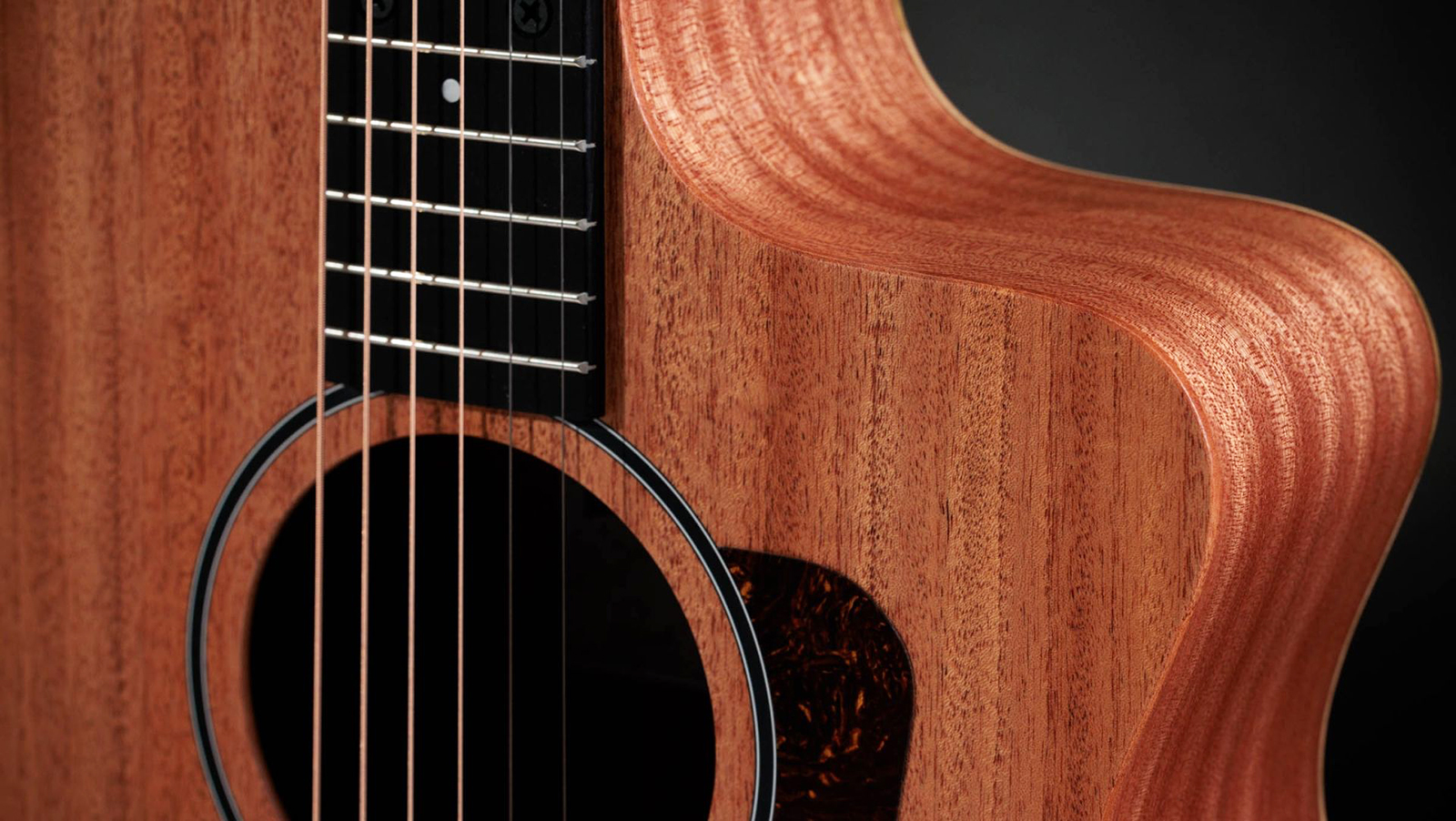 Taylor 24ce Grand Auditorium Cw Tout Sapele Eb - Natural Matte - Folk-Gitarre - Variation 3