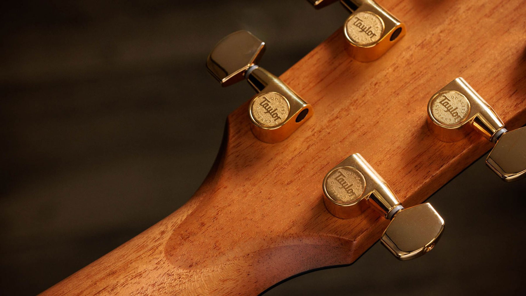 Taylor 414ce 50th Anniversary Special Ed. Grand Auditorium Cw Sinker Redwood Palissandre Eb Es2 - Shaded Edgeburst - Folk-Gitarre - Variation 8
