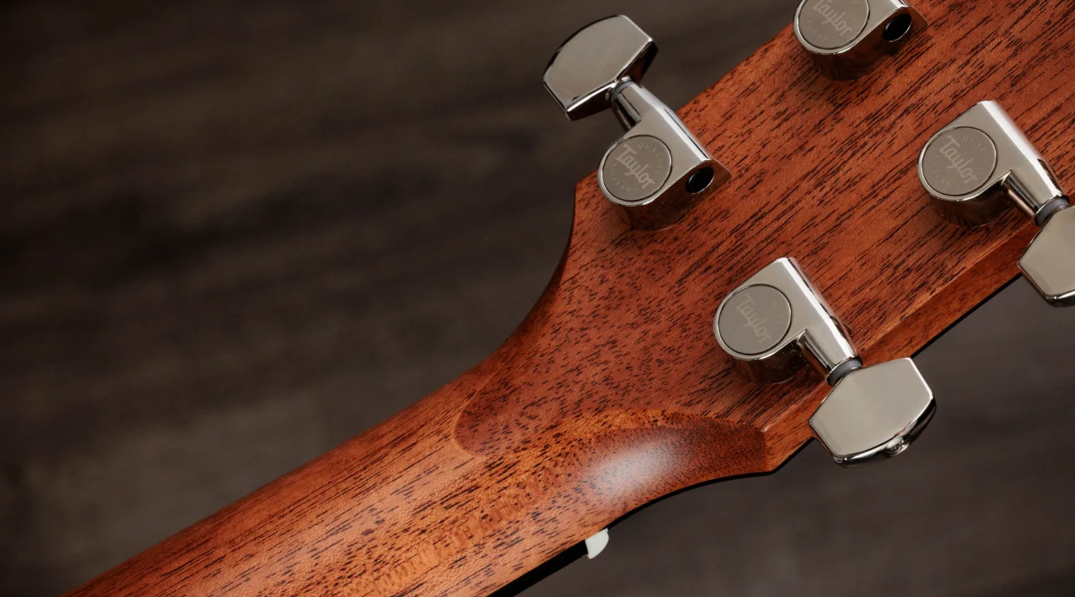 Taylor 510e Gold Label Dreadnought Epicea Acajou Eb - Natural - Folk-Gitarre - Variation 9