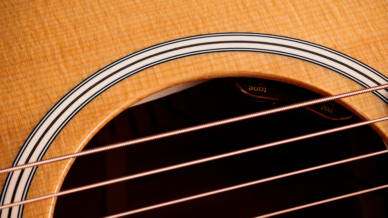 Taylor 512e Gold Label Grand Concert Cw Epicea Acajou Eb Lr Baggs - Natural - Folk-Gitarre - Variation 5