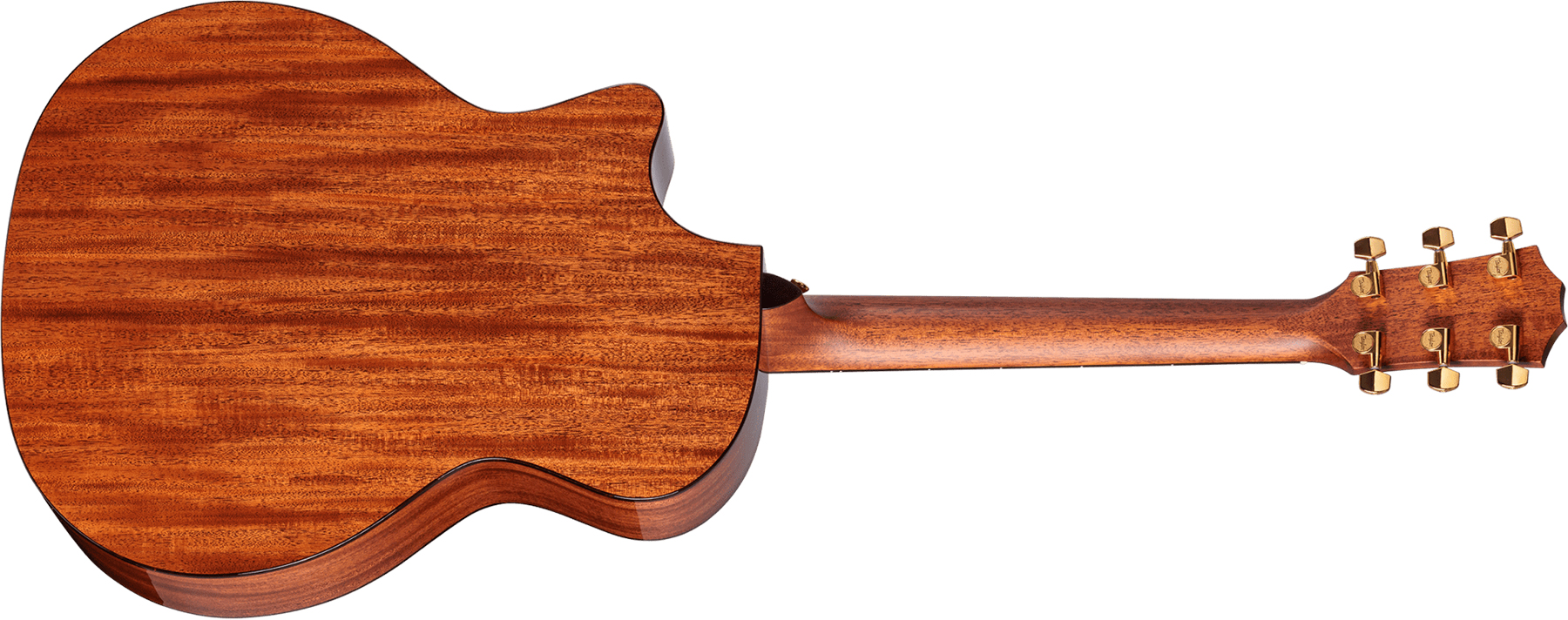 Taylor 514ce Legacy Grand Auditorium Cw Cedre Acajou Eb - Naturel - Elektroakustische Gitarre - Variation 1