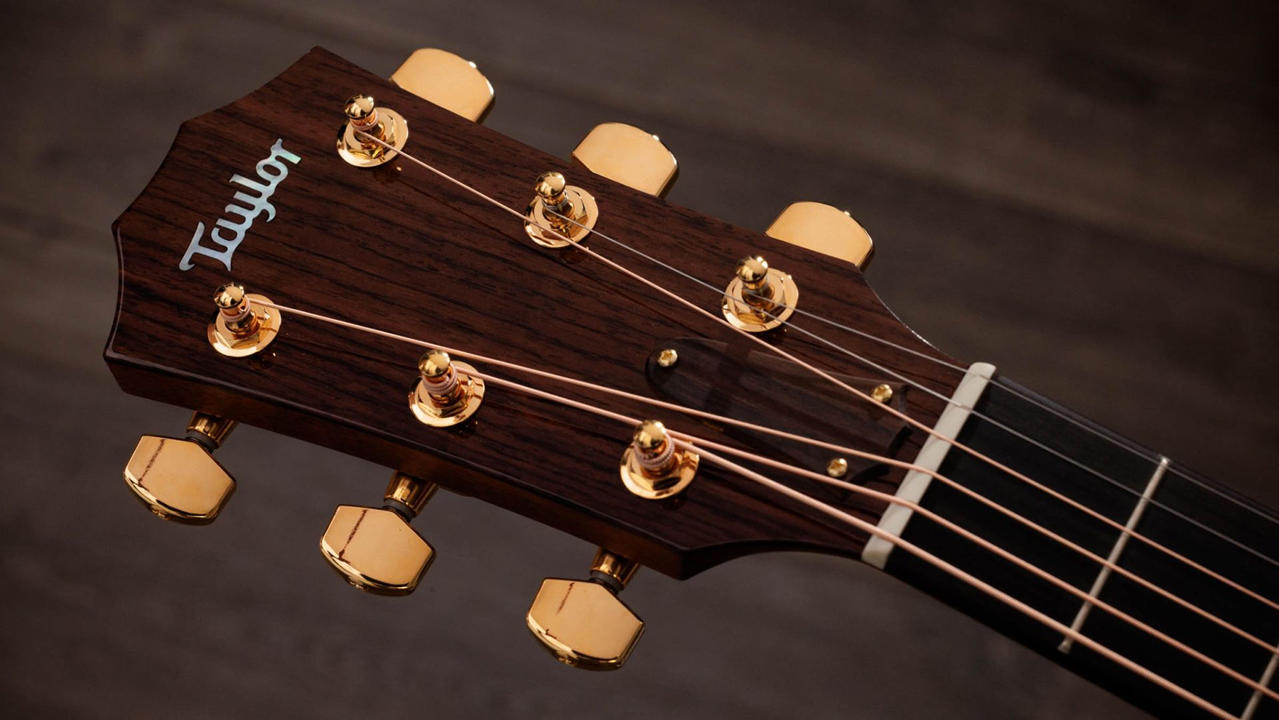 Taylor 514ce Legacy Grand Auditorium Cw Cedre Acajou Eb - Naturel - Elektroakustische Gitarre - Variation 5