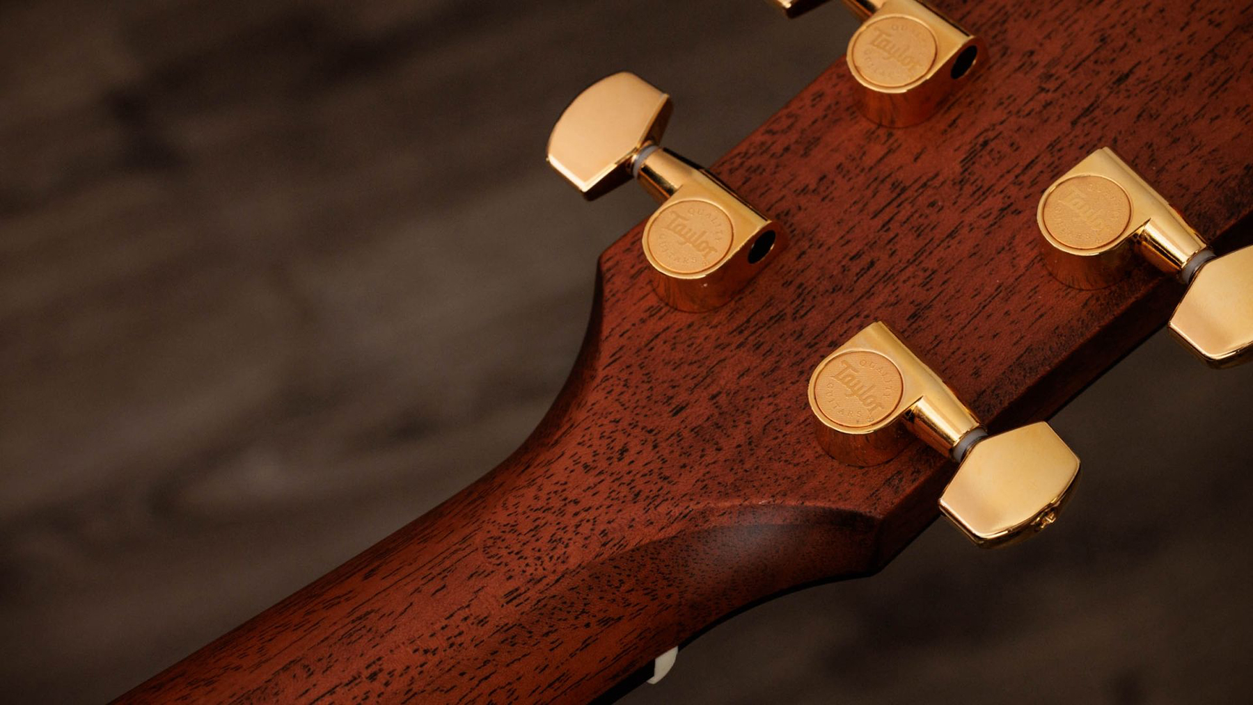 Taylor 514ce Legacy Grand Auditorium Cw Cedre Acajou Eb - Naturel - Elektroakustische Gitarre - Variation 6
