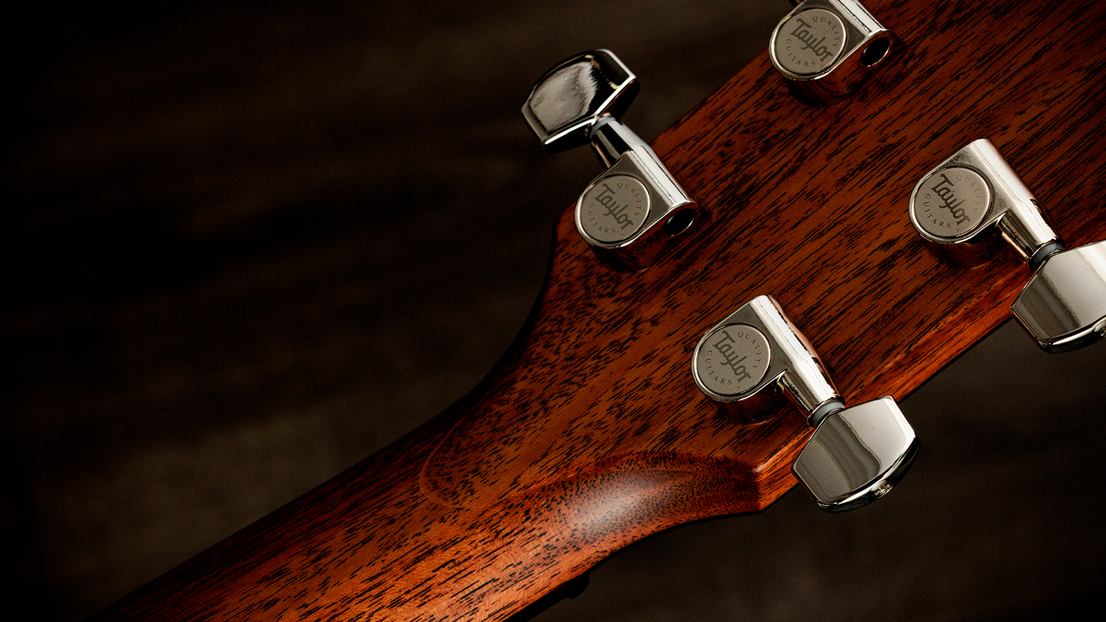 Taylor 514ce Next Gen. Grand Auditorium Cw Cedre Acajou Eb - Natural - Folk-Gitarre - Variation 8