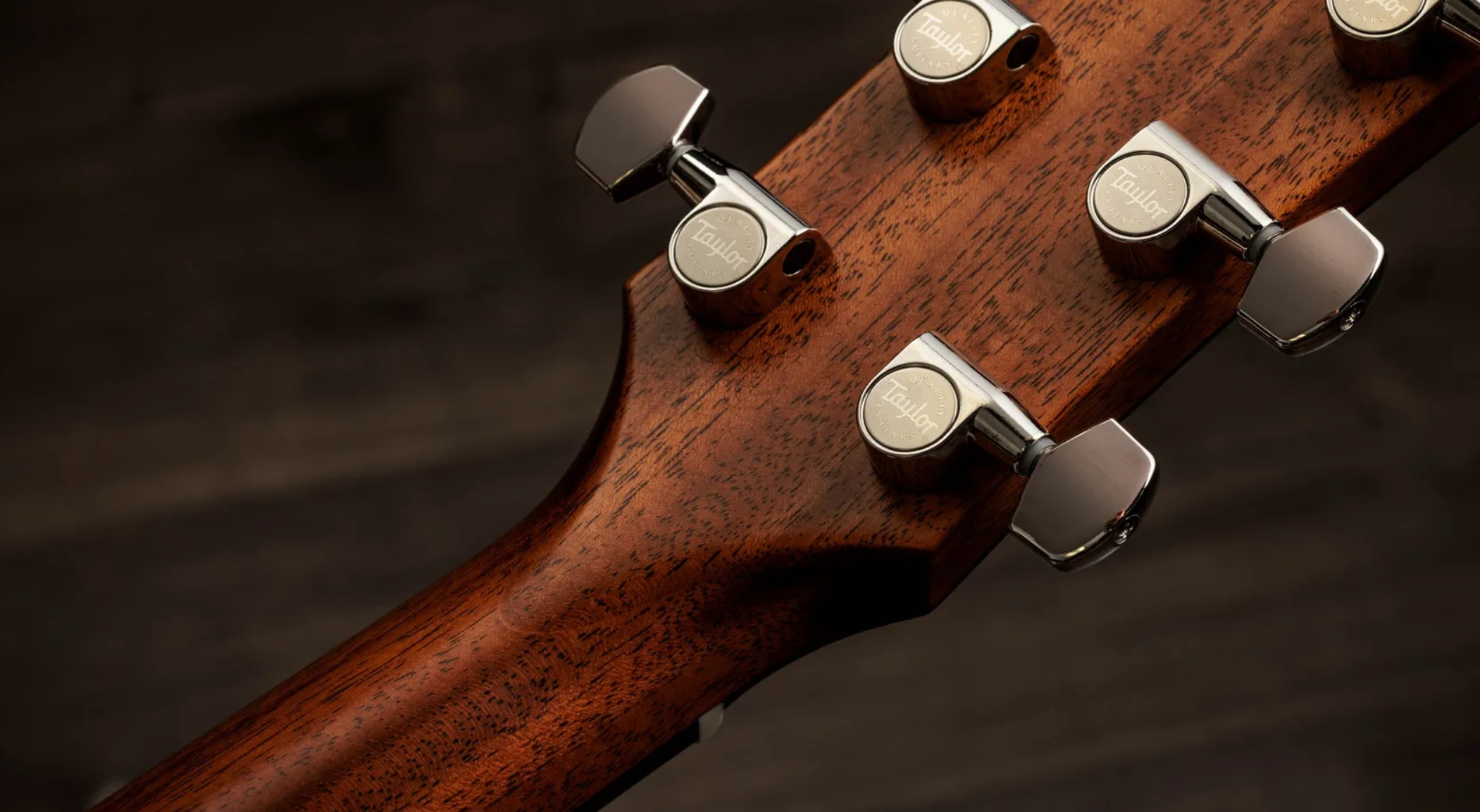 Taylor 517e Gold Label Grand Pacific Epicea Acajou Eb - Natural - Folk-Gitarre - Variation 9