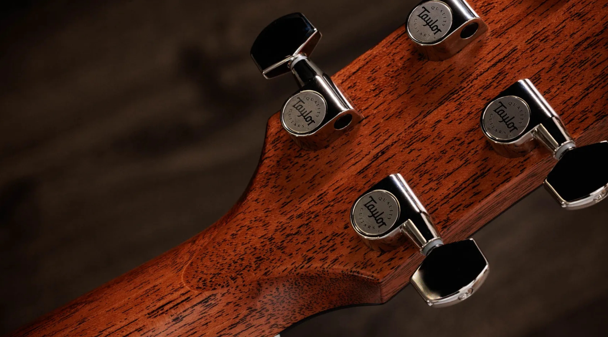 Taylor 517e Gold Label Grand Pacific Epicea Acajou Eb - Blacktop - Folk-Gitarre - Variation 7