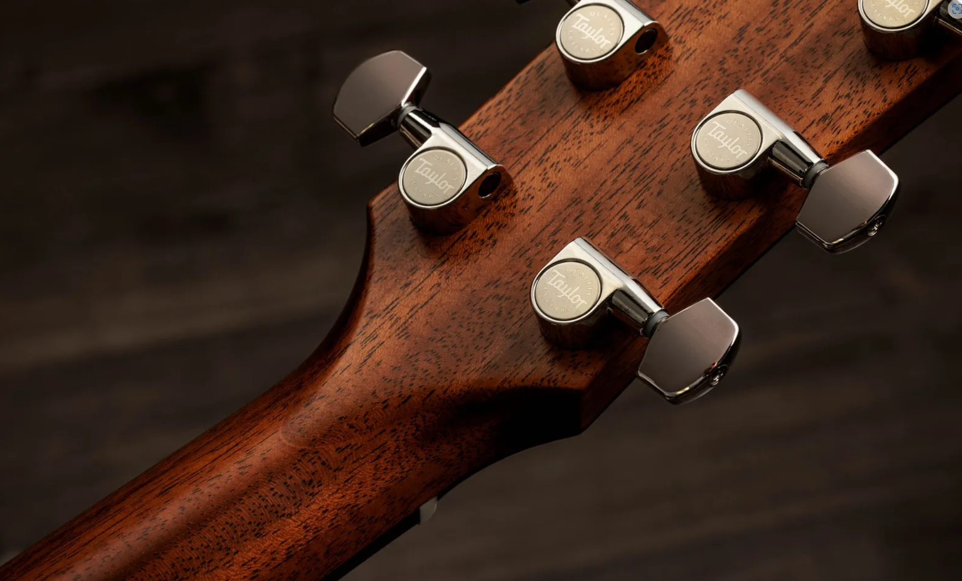 Taylor 517e Sb Gold Label Grand Pacific Epicea Acajou Eb - Sunburst W/ Cream Pickguard - Folk-Gitarre - Variation 9