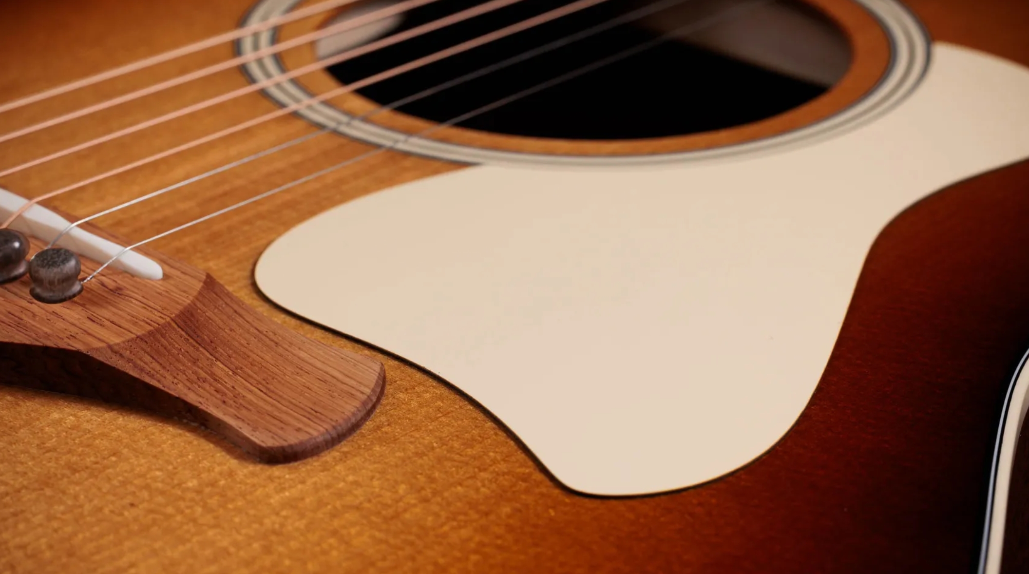 Taylor 517e Sb Gold Label Grand Pacific Epicea Acajou Eb - Sunburst W/ Cream Pickguard - Folk-Gitarre - Variation 3