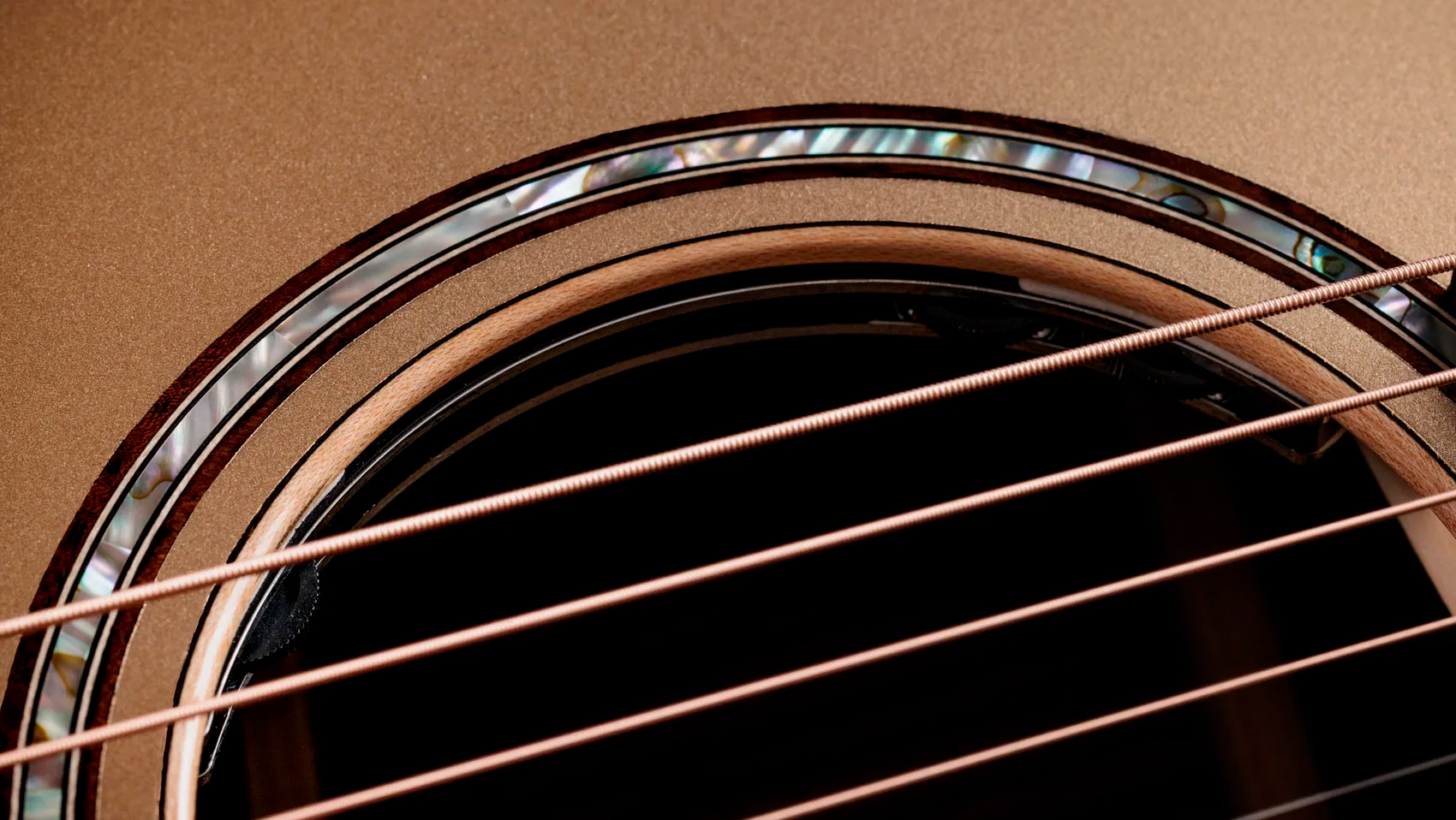 Taylor 814ce Ltd Casablanca Beige Top - Casablanca Beige Metallic - Folk-Gitarre - Variation 5