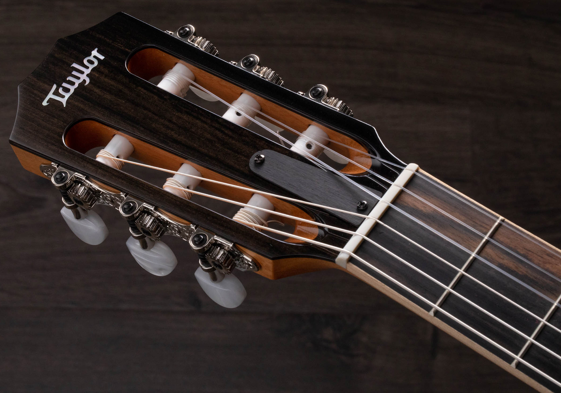 Taylor Guitare Classique Format 4/4 - Electro-acoustique - Konzertgitarren 4/4 - Variation 5