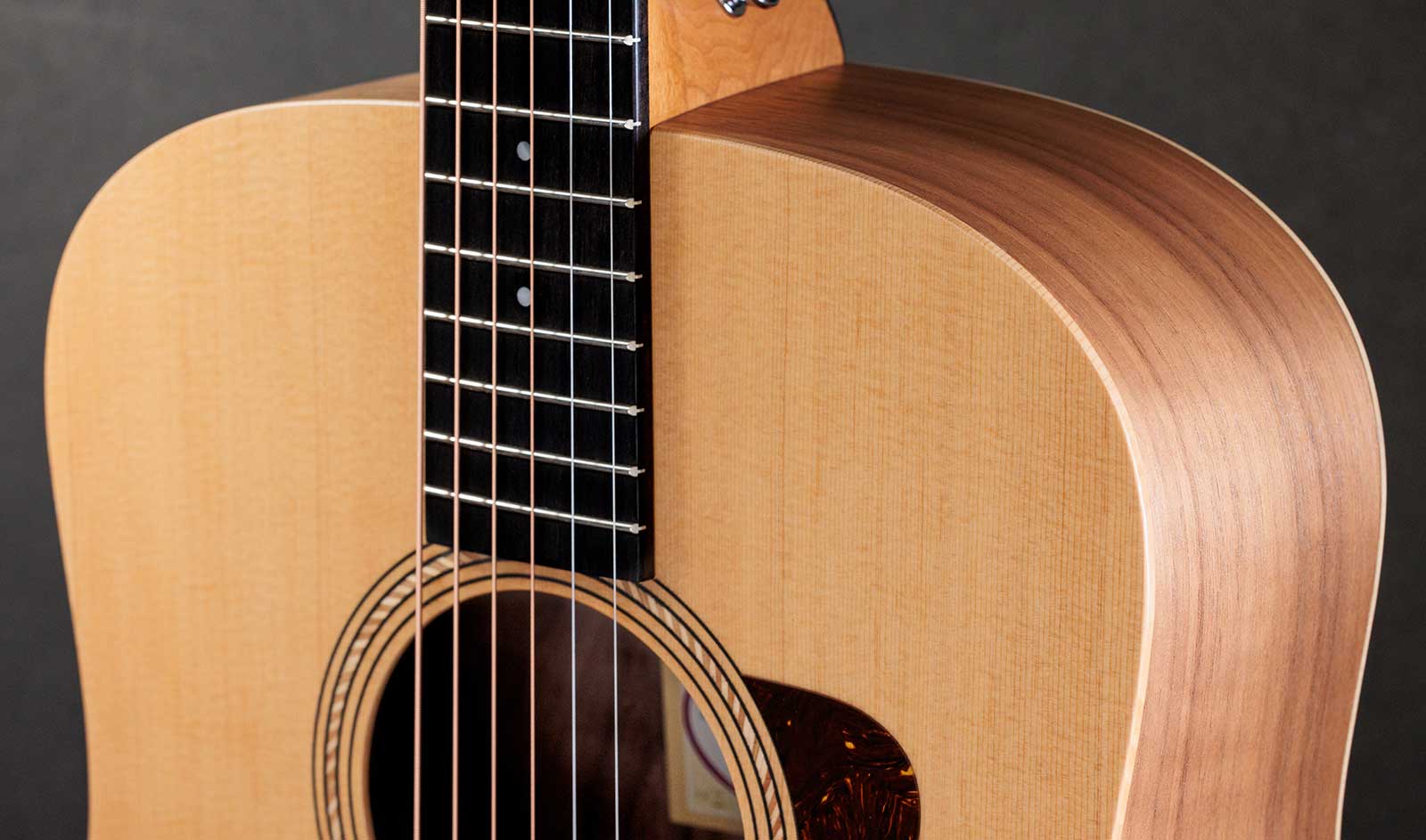 Taylor Academy 10e 2024 Dreadnought Epicea Noyer Eb Ves-b - Natural Matte - Folk-Gitarre - Variation 2