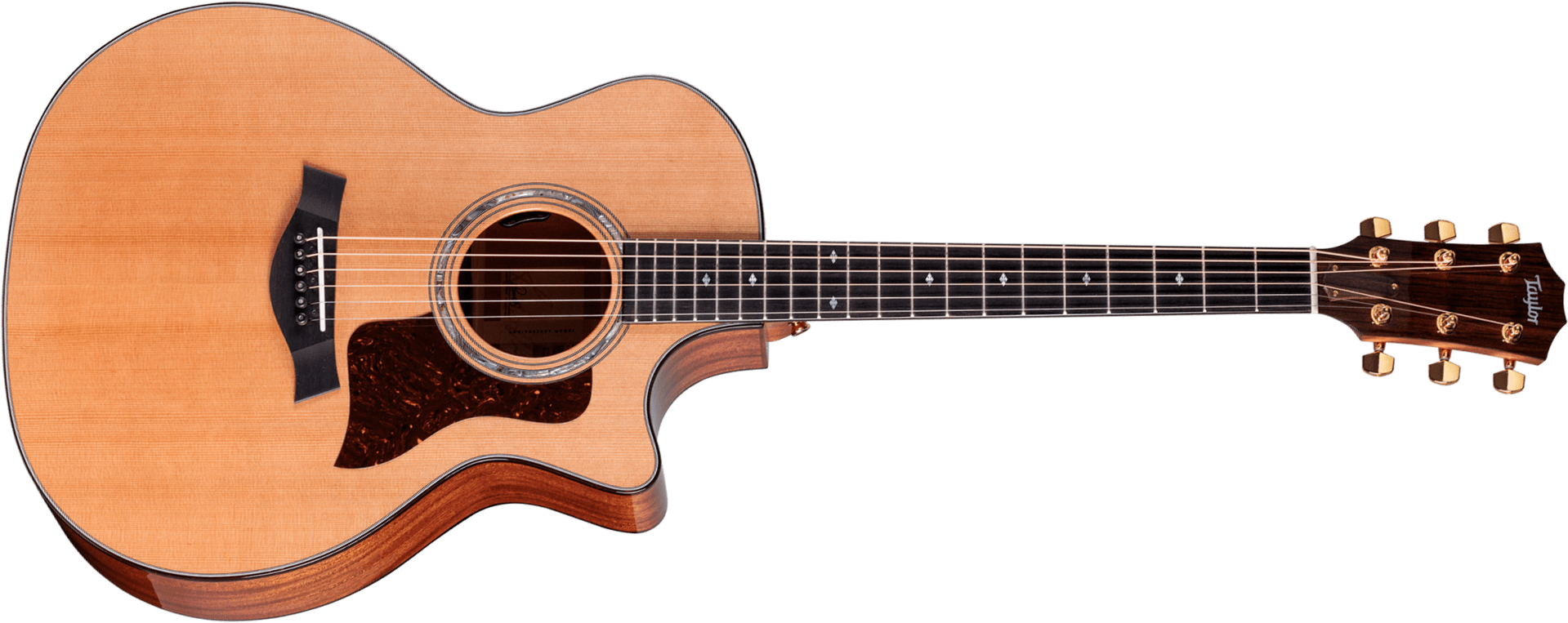 Taylor 514ce Legacy Grand Auditorium Cw Cedre Acajou Eb - Naturel - Elektroakustische Gitarre - Main picture
