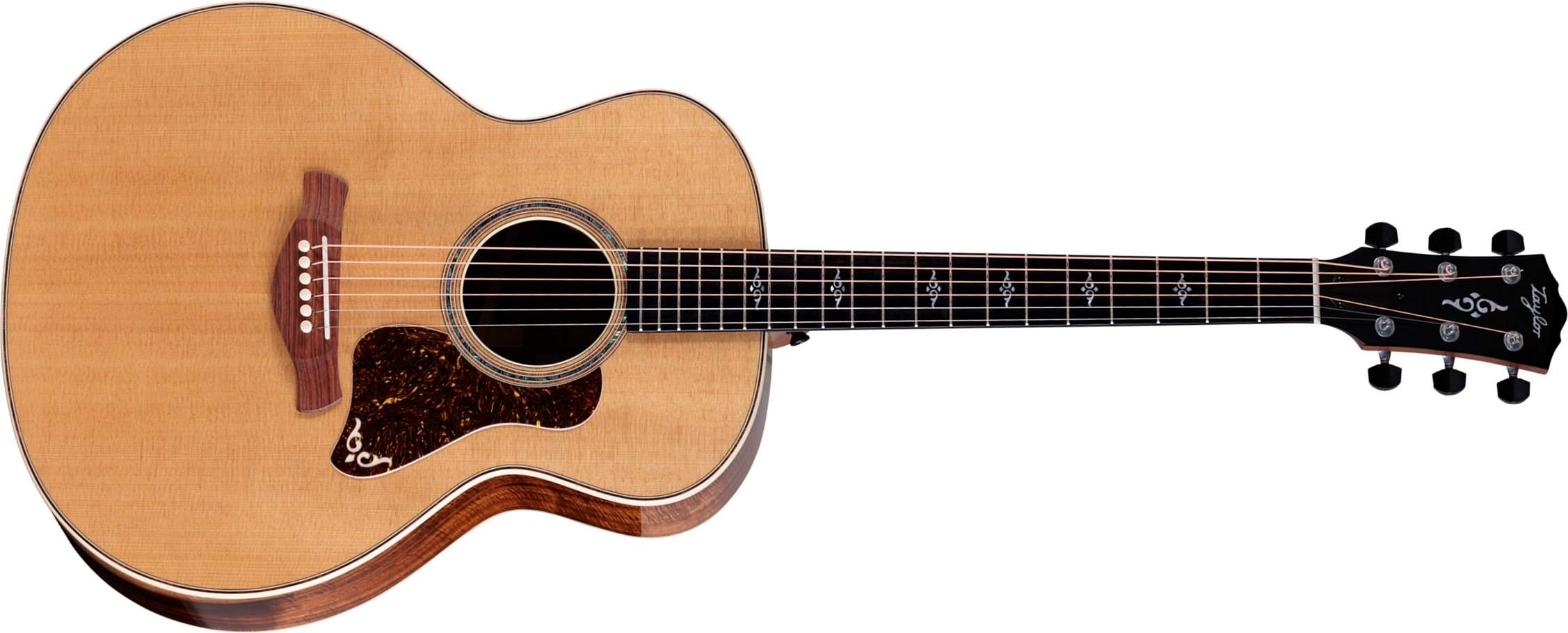 Taylor 814e Koa Gold Label Super Auditorium Cw Epicea Koa Eb Lr Baggs - Natural - Folk-Gitarre - Main picture