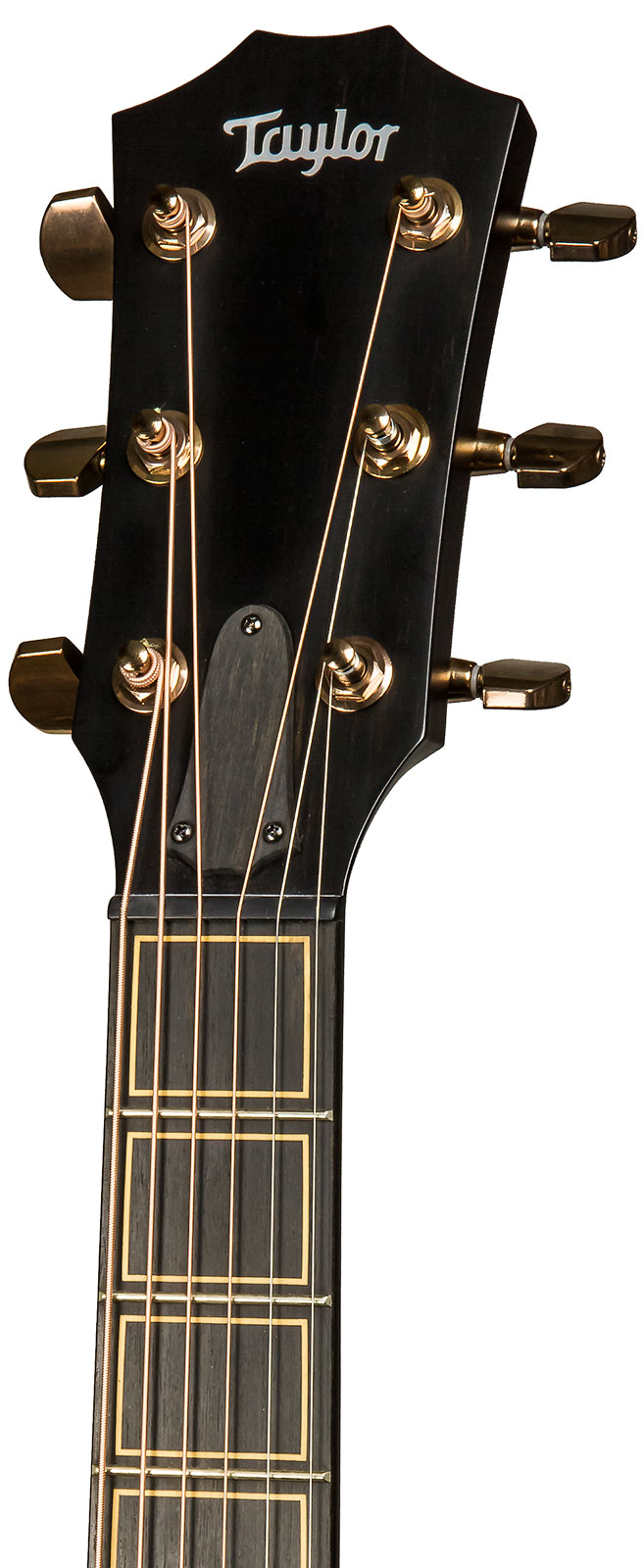Taylor Custom Ga-e V-class Grand Auditorium Cw Tout Blackwood Eb Es2 #1202180118 - Shaded Edge Burst - Folk-Gitarre - Variation 4