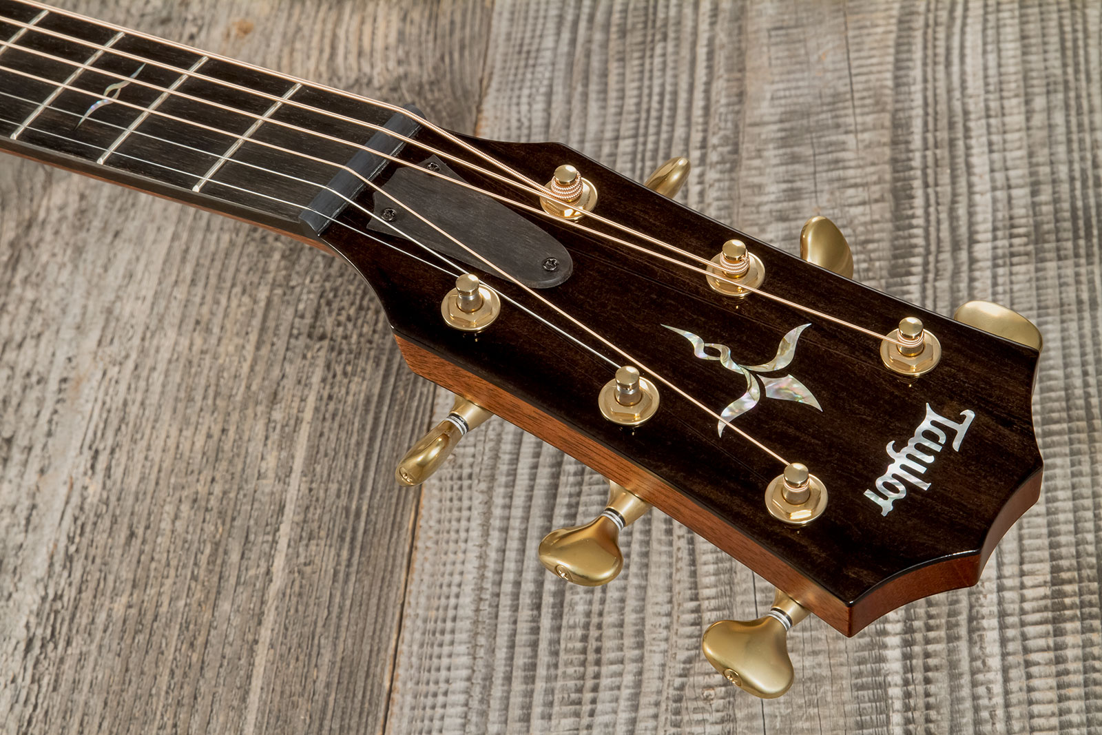 Taylor Custom Shop Ga-e Grand Auditorium Cw Epicea Palissandre Eb Es2 #1211133096 - Natural - Folk-Gitarre - Variation 7