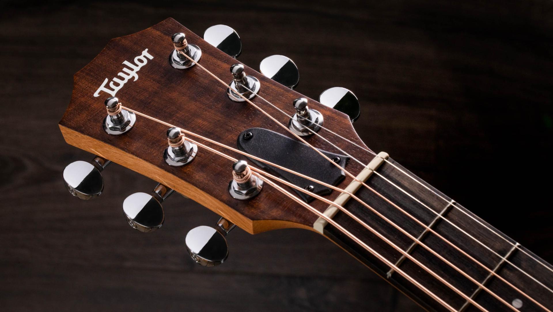 Taylor Gs Mini-e Special Edition Parlor Shsc Epicea Sapele Eb Es-b - Olive - Folk-Gitarre - Variation 4