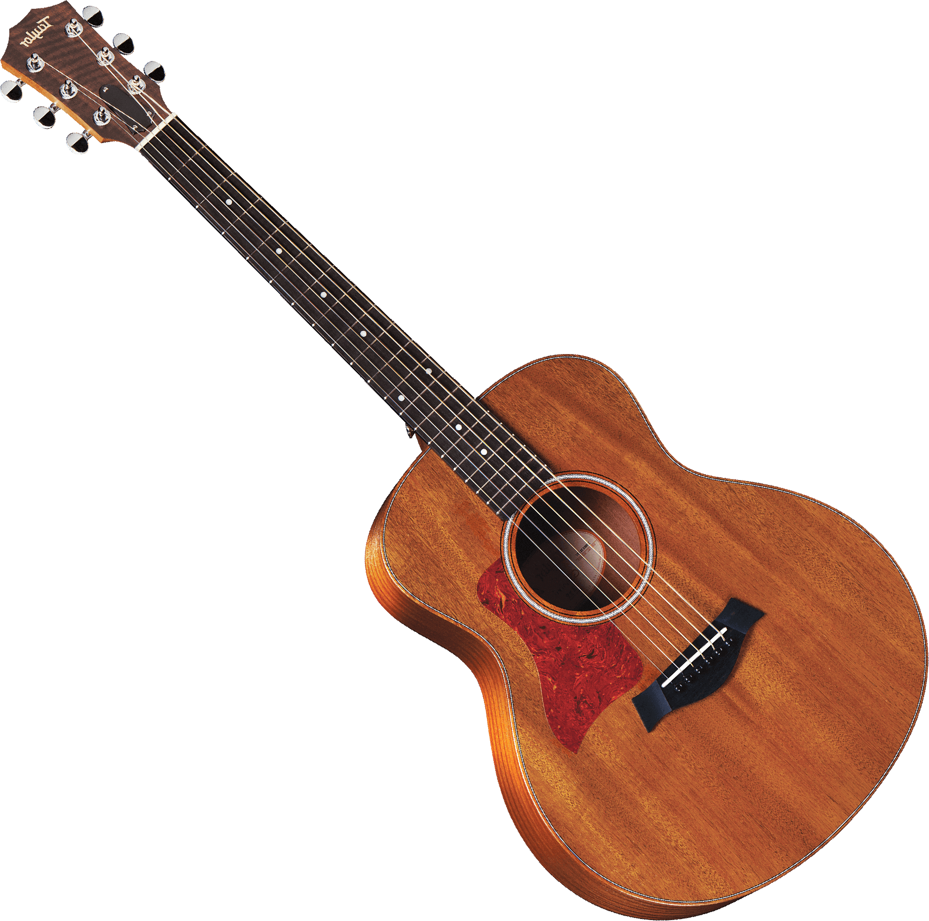 Taylor gs mini series Clearance