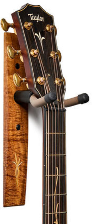 Taylor Hanger Koa Bouquet Maple-boxwood Inlay - Gitarrenständer - Variation 1