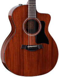 Elektroakustische gitarre Taylor 224ce Plus Special Edition - Natural gloss top
