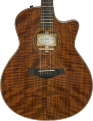 Folk-gitarre Taylor Custom GS-e #B9675 - Natural