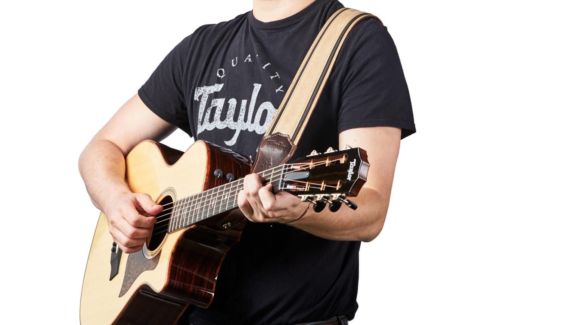 Taylor Reflections Leather Guitar Strap 2.5-inc Spruce/ebony 4111-25 Cuir - Gitarrengurt - Variation 4