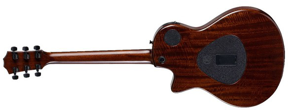 Taylor T5z Standard Epicea Sapele Eb - Honey Sunburst - Semi-Hollow E-Gitarre - Variation 1