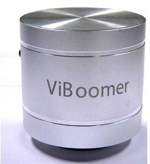  ios & mp3 dock Viboomer D2 Silver - Argent