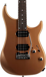E-gitarre in str-form Vigier Excalibur Thirteen - Monarchy gold