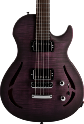Semi-hollow e-gitarre Vigier                         G.V. Wood Hollow - Purple fade