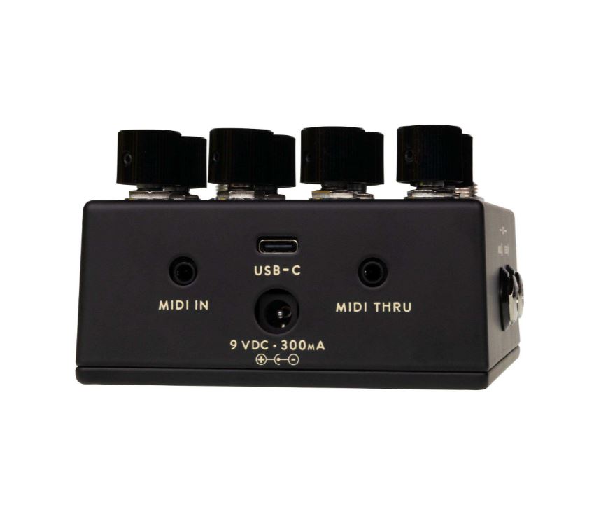 Walrus Audio Fable Mkii Black - Reverb/Delay/Echo Effektpedal - Variation 1