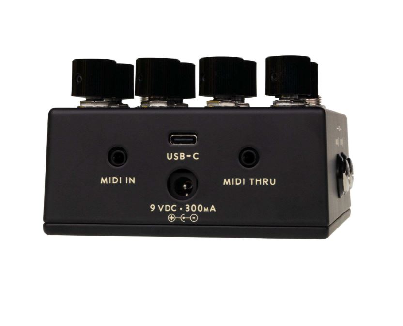 Walrus Audio Lore Mkii Black - Reverb/Delay/Echo Effektpedal - Variation 1
