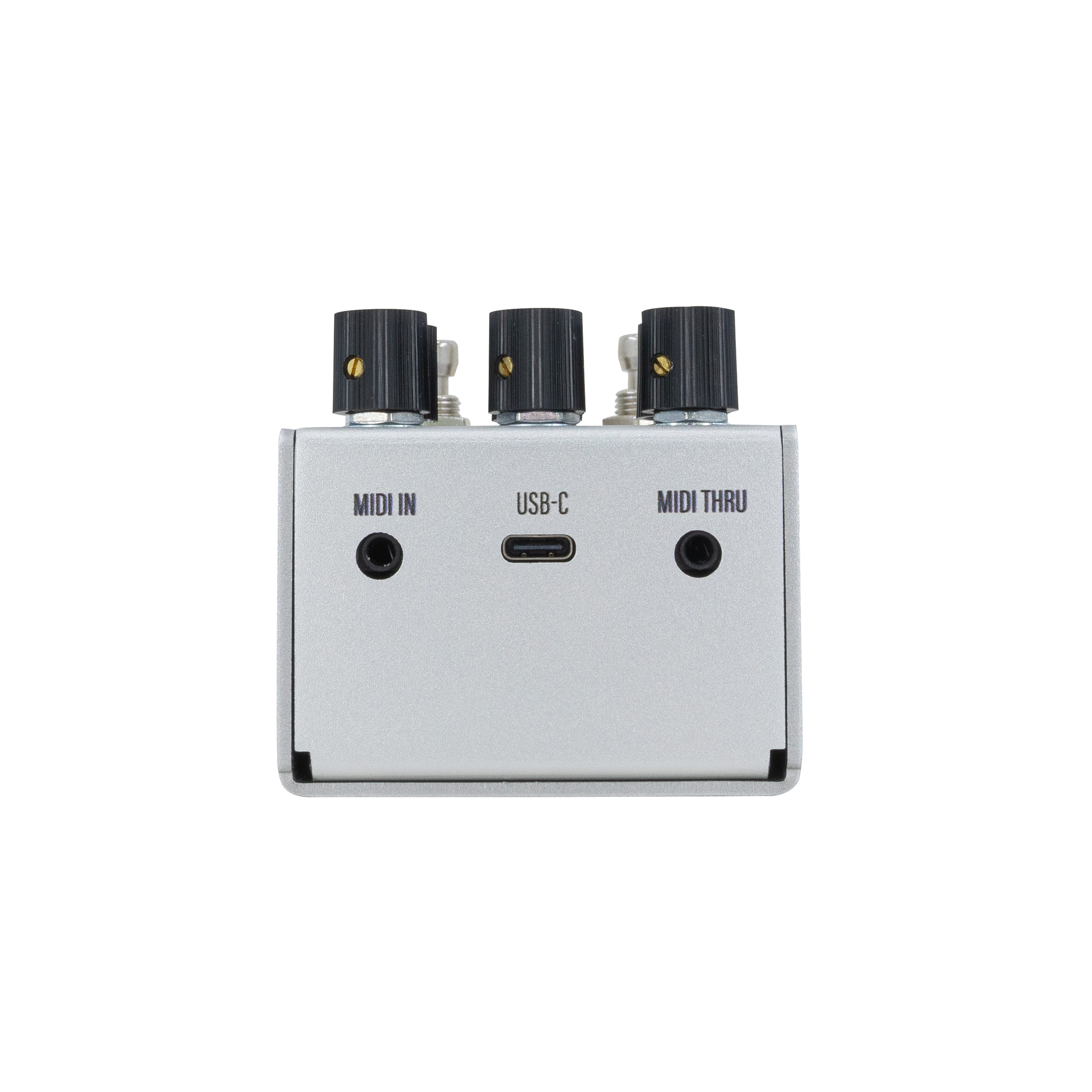 Walrus Audio Mako D1 Mkii - Reverb/Delay/Echo Effektpedal - Variation 1