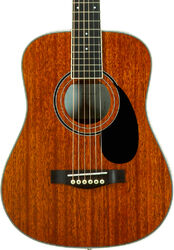 Folk-gitarre Wesland BG350-NAT - natural