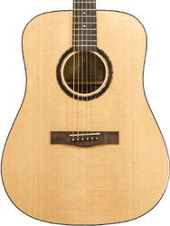 Folk-gitarre Wesland DR1-W - Natural