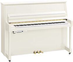 B20 PWH TransAcoustic