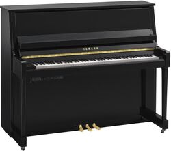 B30 PE TransAcoustic