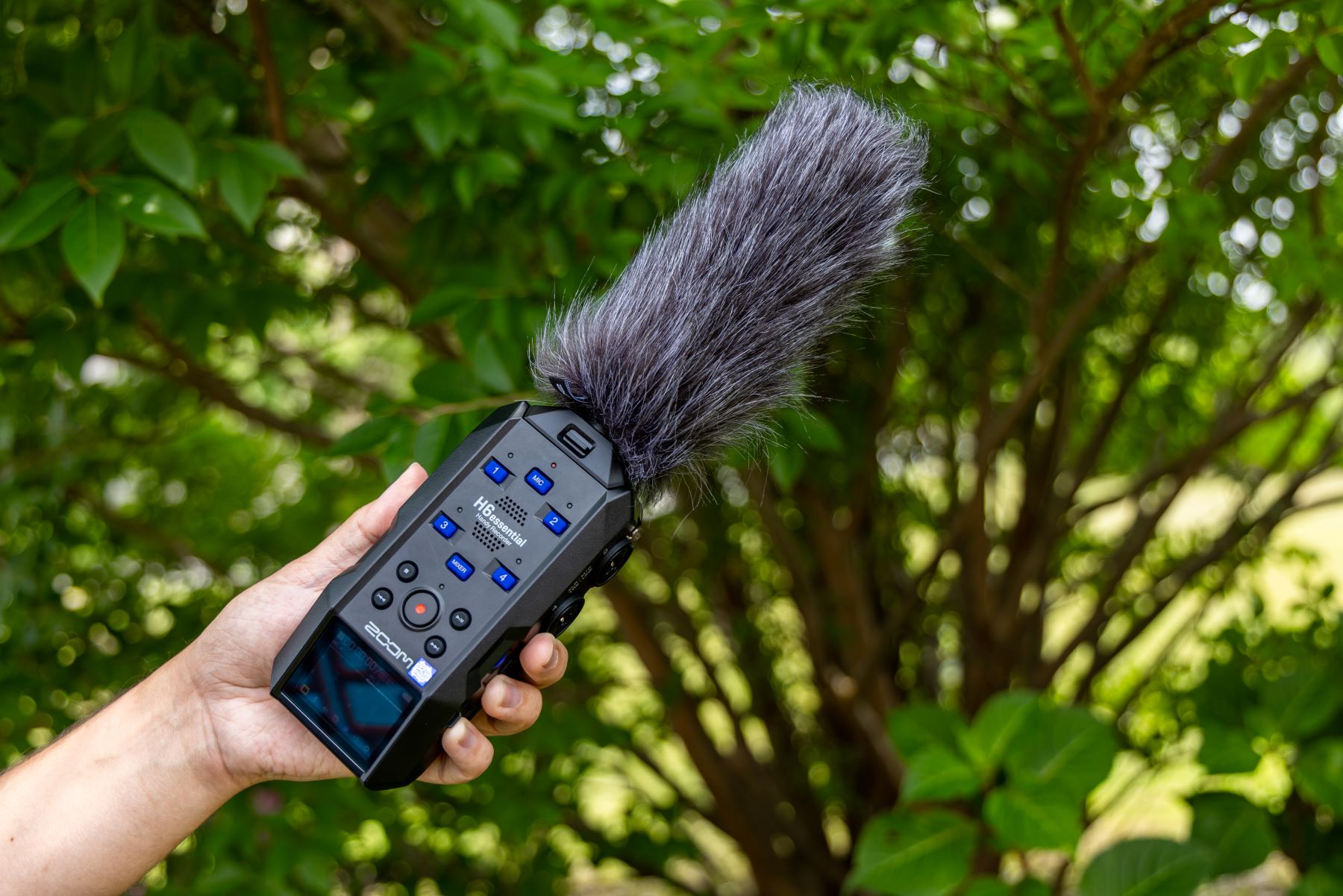Zoom Ssh-6e - Microphone Pour Zoom H6e - Mikrofon Kapsel - Variation 9